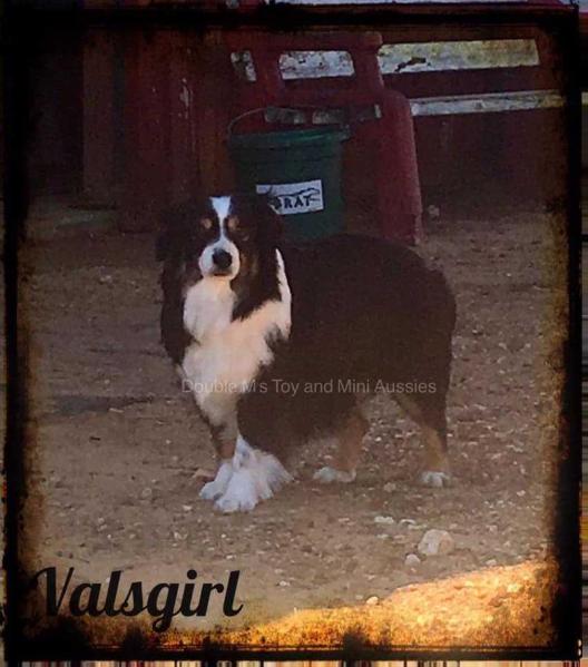 Hughes Toys ValsGirl