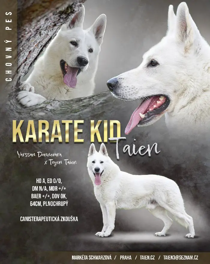Karate Kid Taien