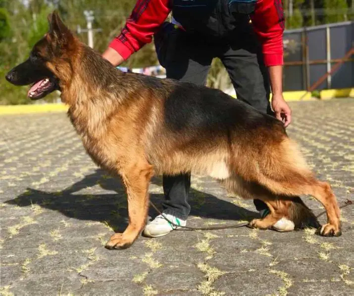 Vanja von den Anden