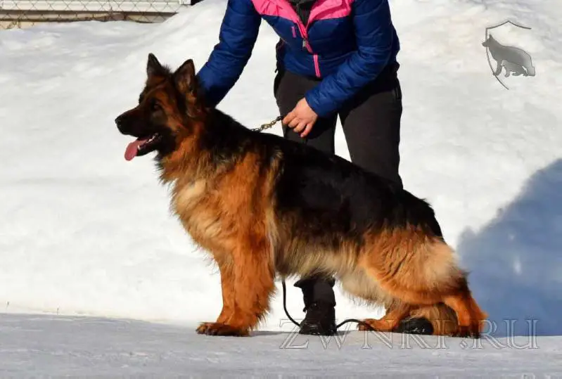 Zilber Wasserfall IMIDZHA