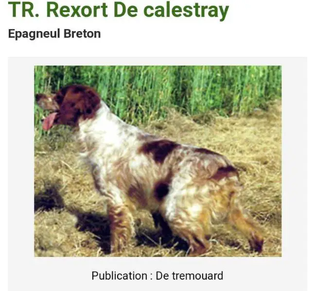TR. REXORT de Calestray