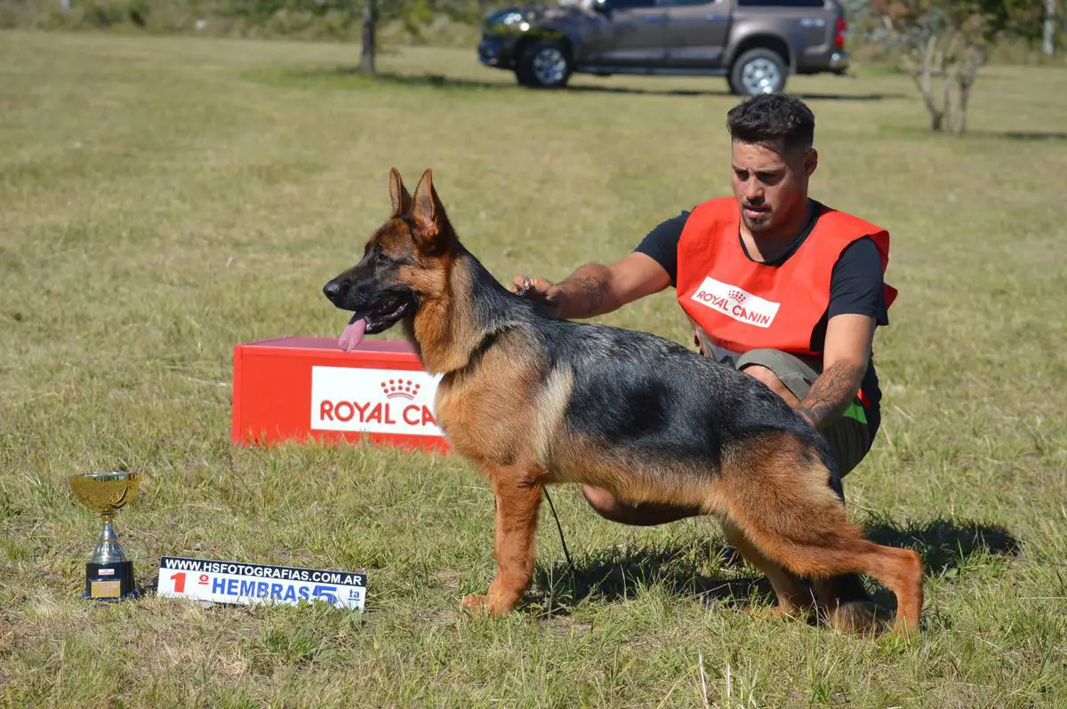 SG4 5ta H  Arg. 2019. Campeona Arg. 3ra H 2019 Vicky Von del Behuel