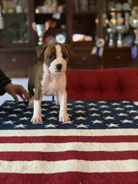 Smiling Amigo's So Let Them Talk