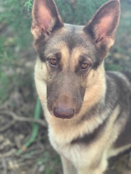 Mystics Major Beauty Sasha Strahl Von Valor