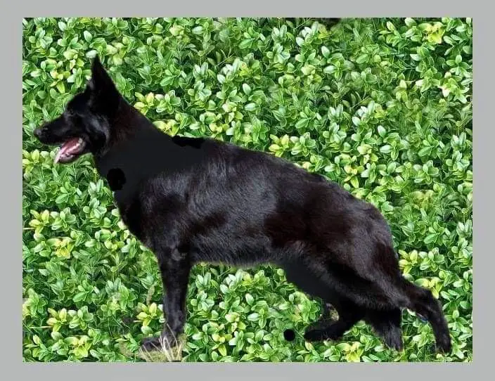 Zilber Wasserfal Afrika 2