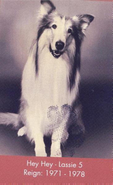 Lassie  V (Hey Hey)