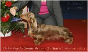 CH RUS, LIT, ROM, EST Daks-Veg-As Bonne Bravo