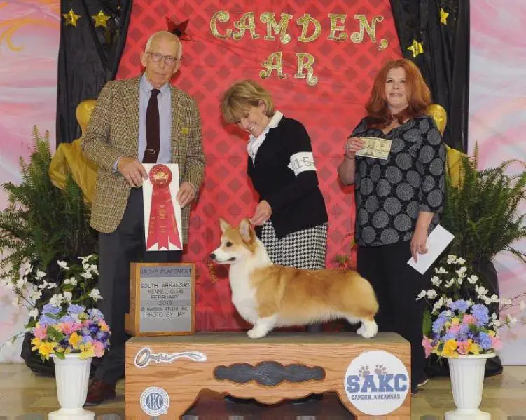 AM.GCH. Aubrey’s Easter Parade