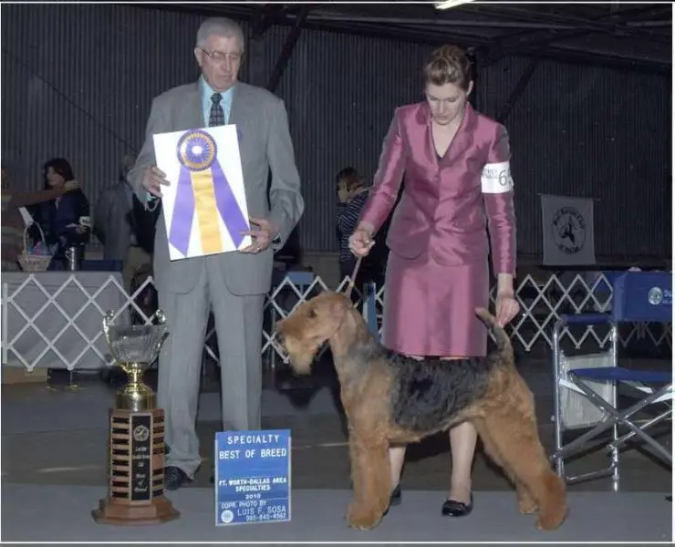 AMCH, GCH, BISS Sherwood's Lady Of The Lake