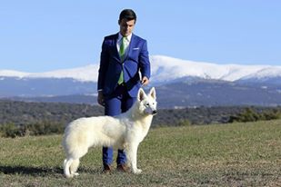 JCH SPAIN tati de soto de riofrio