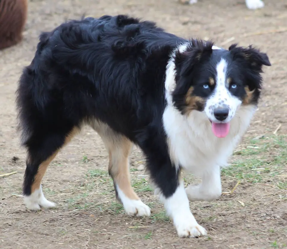 FreeStyles Jettin To The Letty