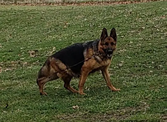 Jenny van Contra Haus