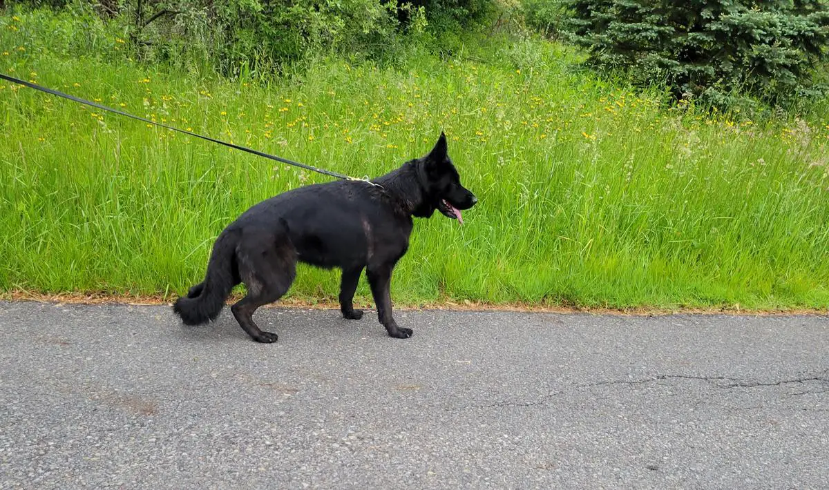 Kanza vom hohlen Huegel