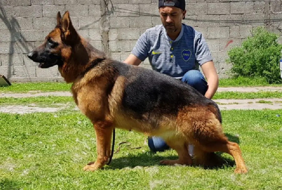 V Susy von del Nando