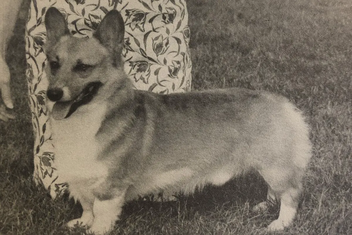 CH Cote de Neige Goronwy Owen