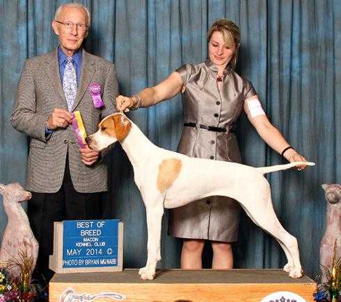 SOLIVIA'S CHAMPAGNE TASTE