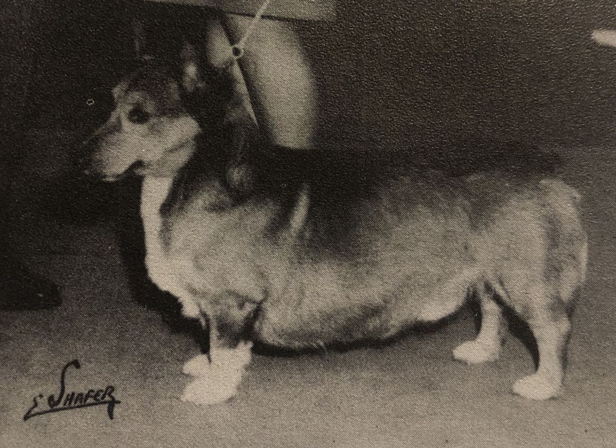 CH Moyer's High Storm