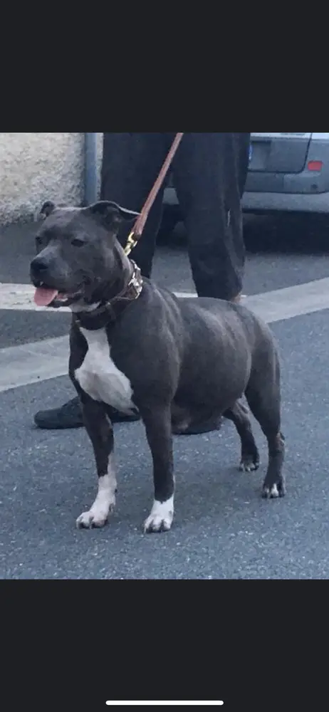 Exc La Java Bleu Des Dieux De l’Arène