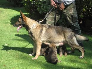 C-Frida Casa Michger