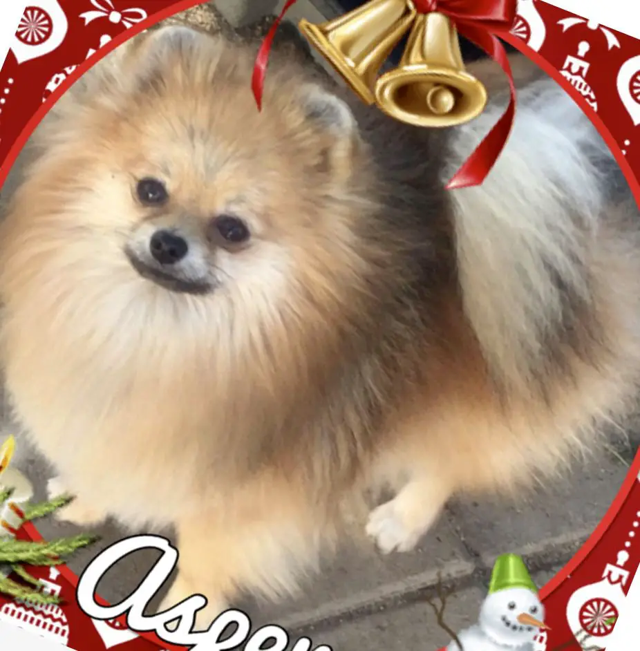 Pomadore’s Blowin in the Wind @ Queam