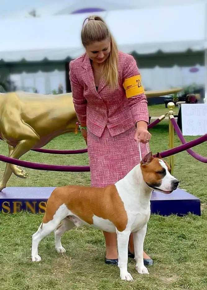 GCH De Paco XZ Absolute Dickies Without Passport