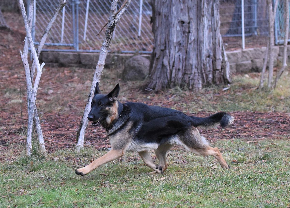 Sunrise’s Valley Girl