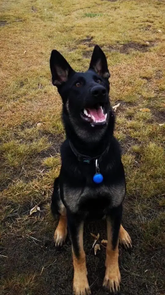 Gracie Von Der Jubricht