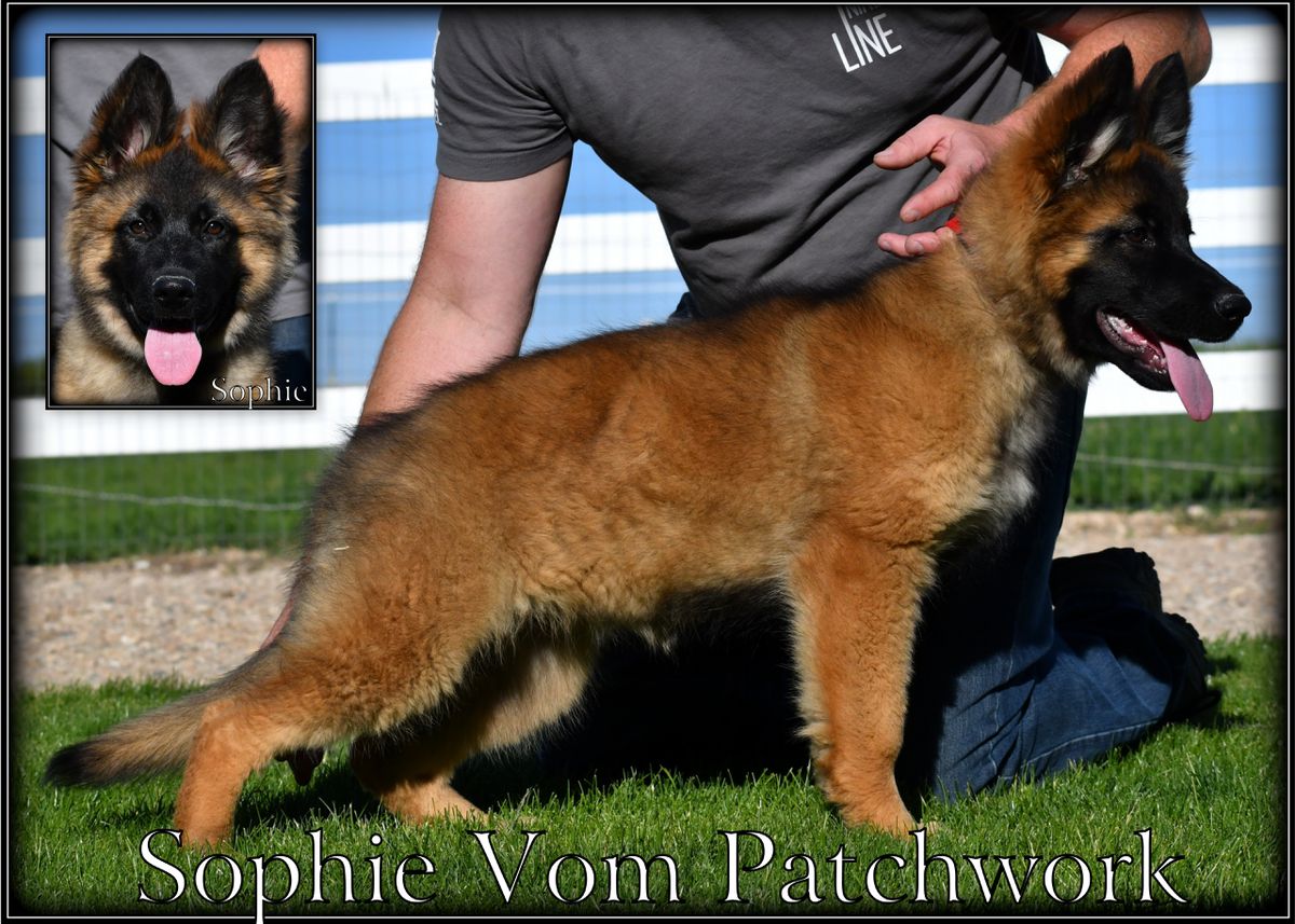 Sophie Vom Patchwork