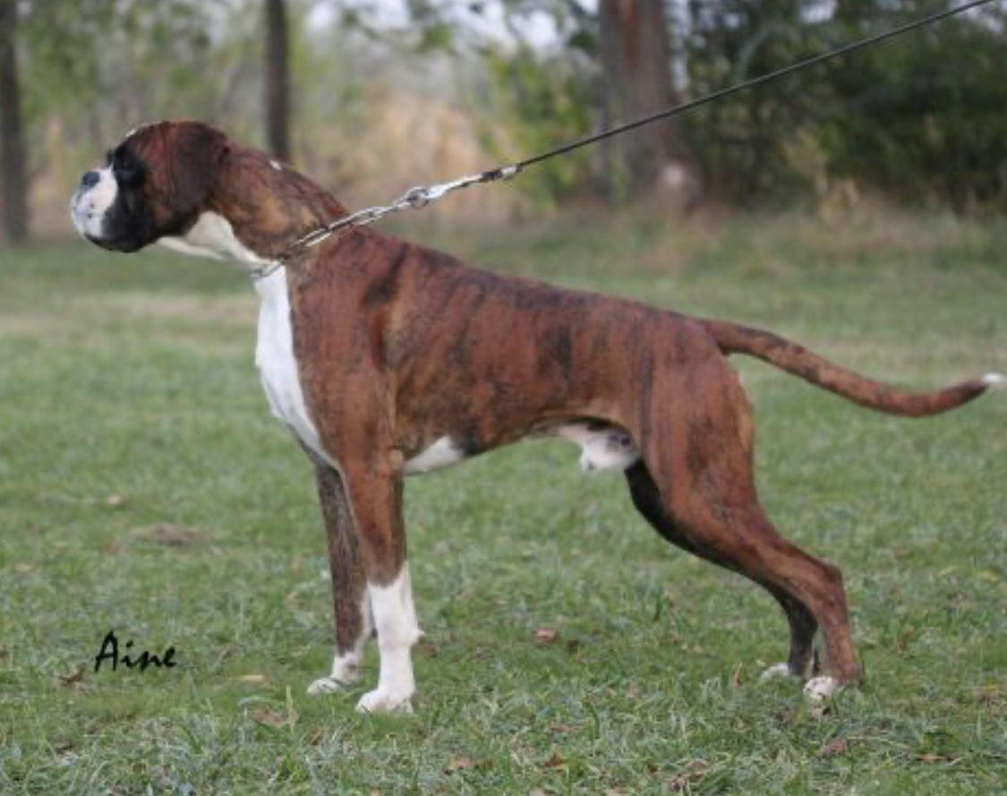 Classified Information of Kellaney