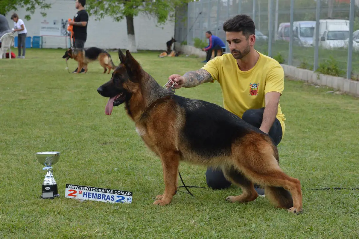 Isolina von das Mäuschen