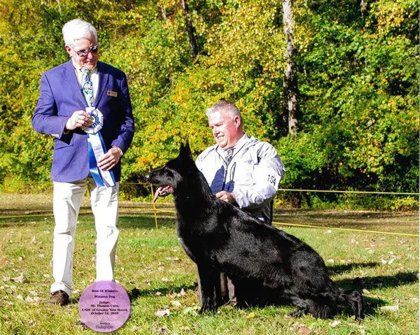 BOM. CH. Kysarah's Dark Side Of The Moon