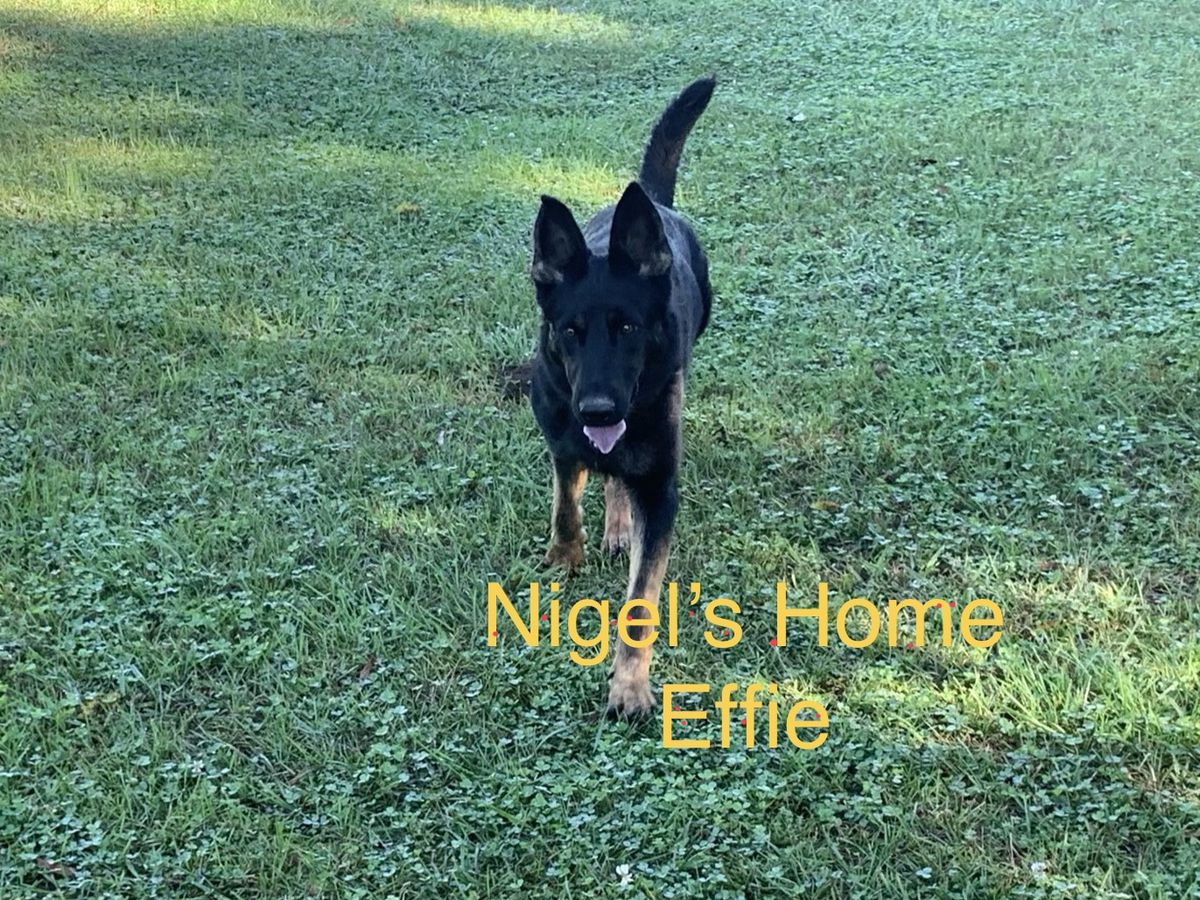 Nigel's Home Effie