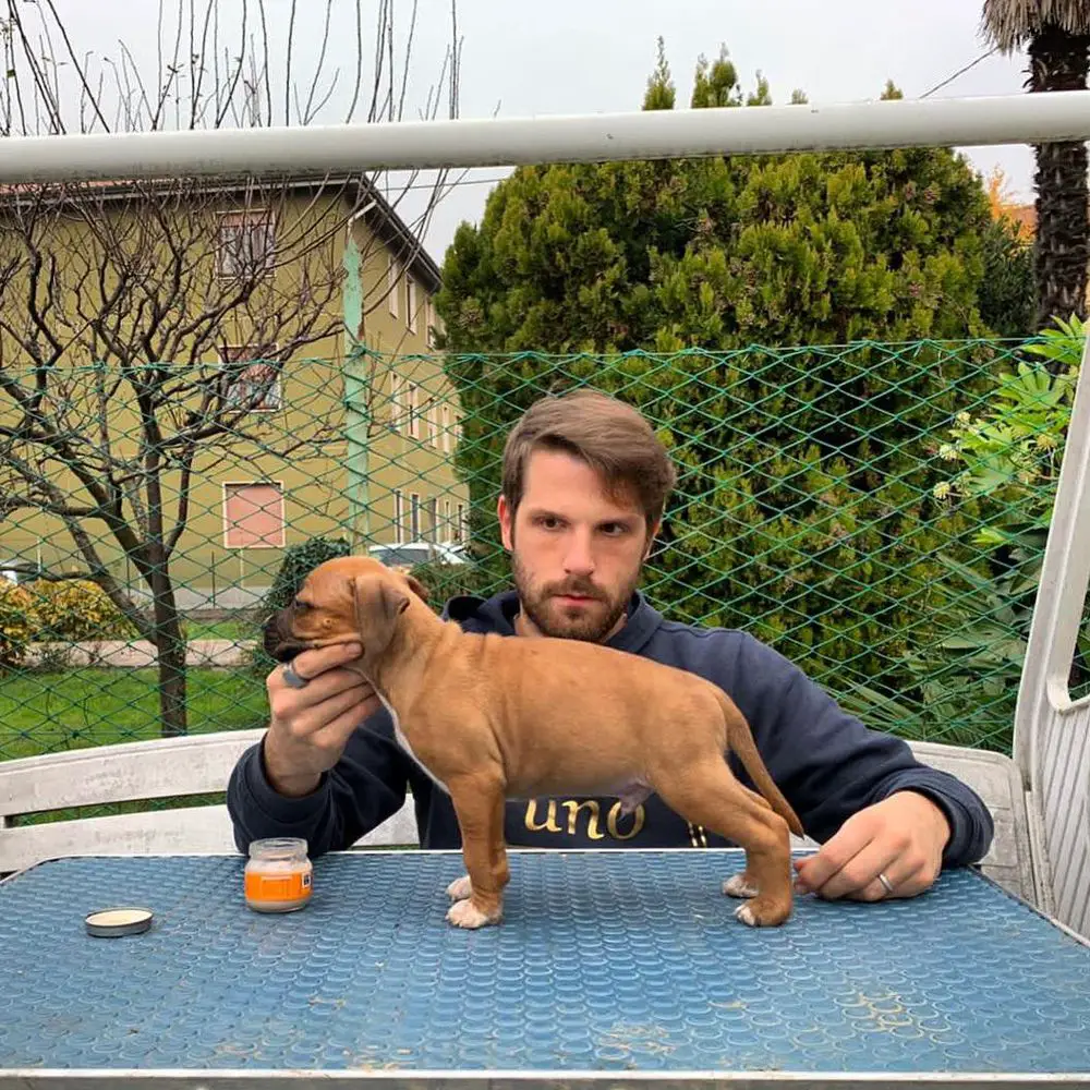 Golden Kyon Cannonau