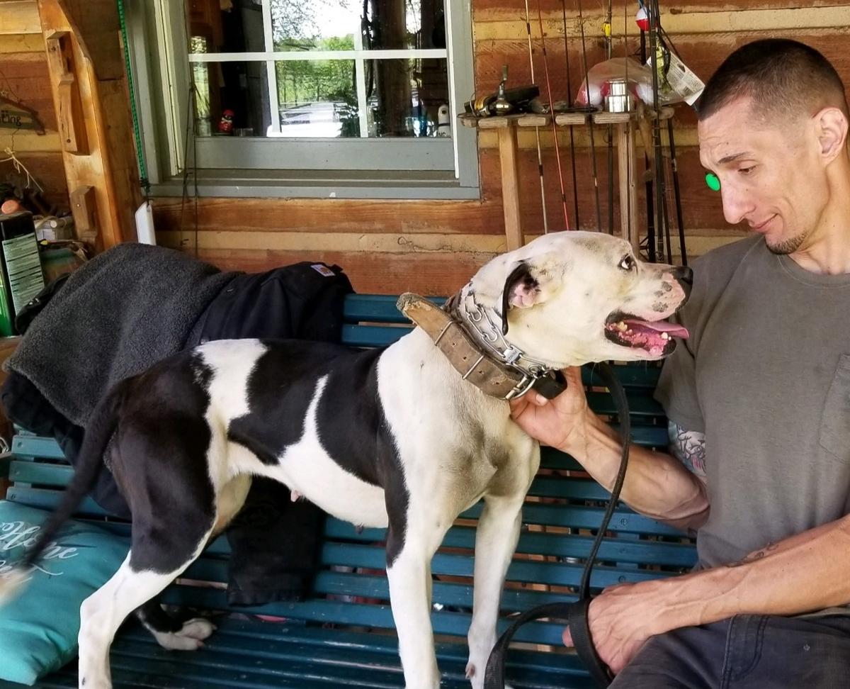Konfederate Kennels Soul Sister