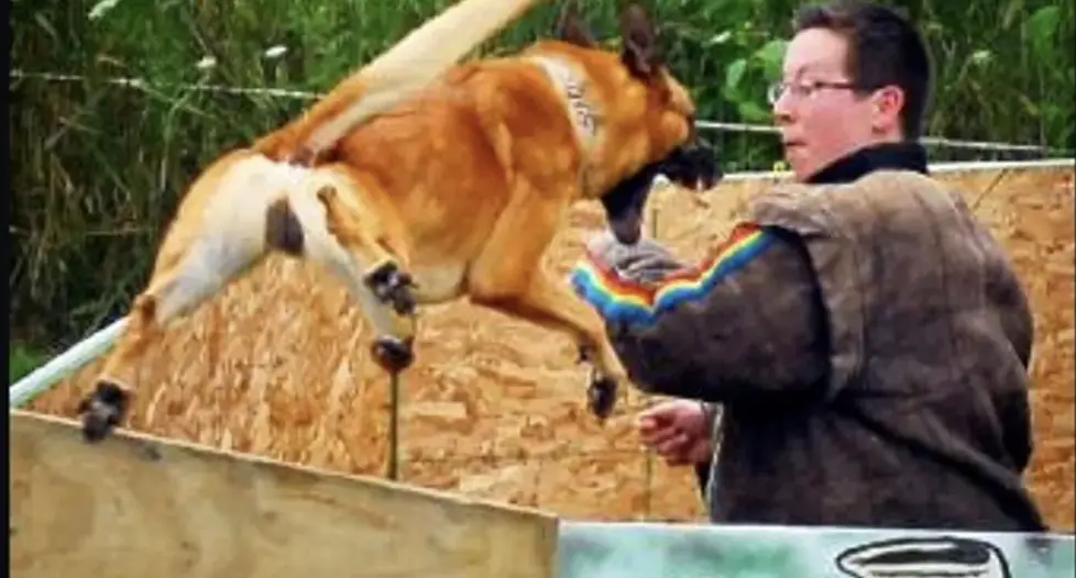 AIDEN RILEY OF CHER CAR