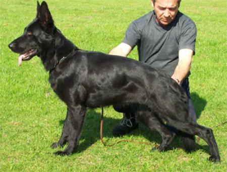 V Ebba von Lünsholz