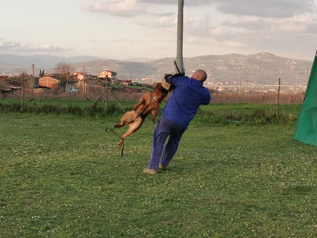 V Bijoux (von ex imperium)