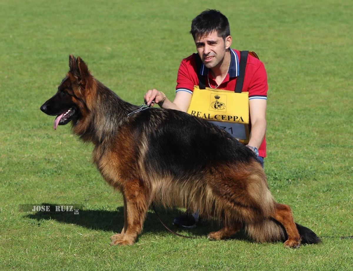 VICE-SIEGERIN SPANIEN NWKH- LSH ( 9-12) Baycha Campo de Gibraltar