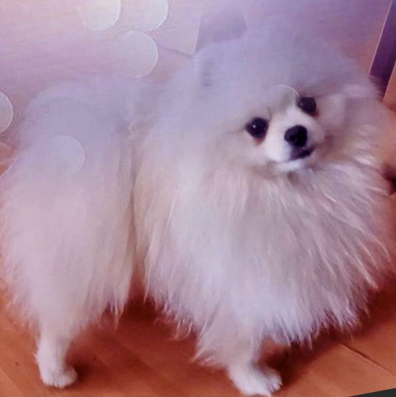 Bellissime King Arthur Moscato