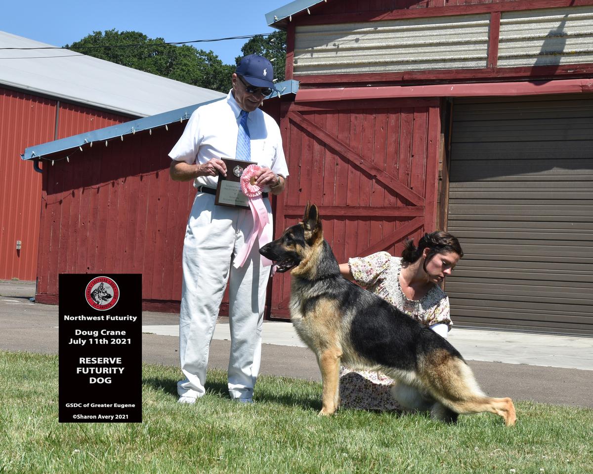 Handheims Judgement Day!