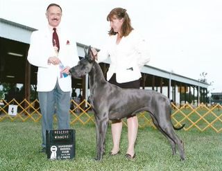 Northernaire’s Creek DHARMA