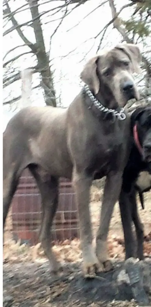 Sack's Seismic Activity