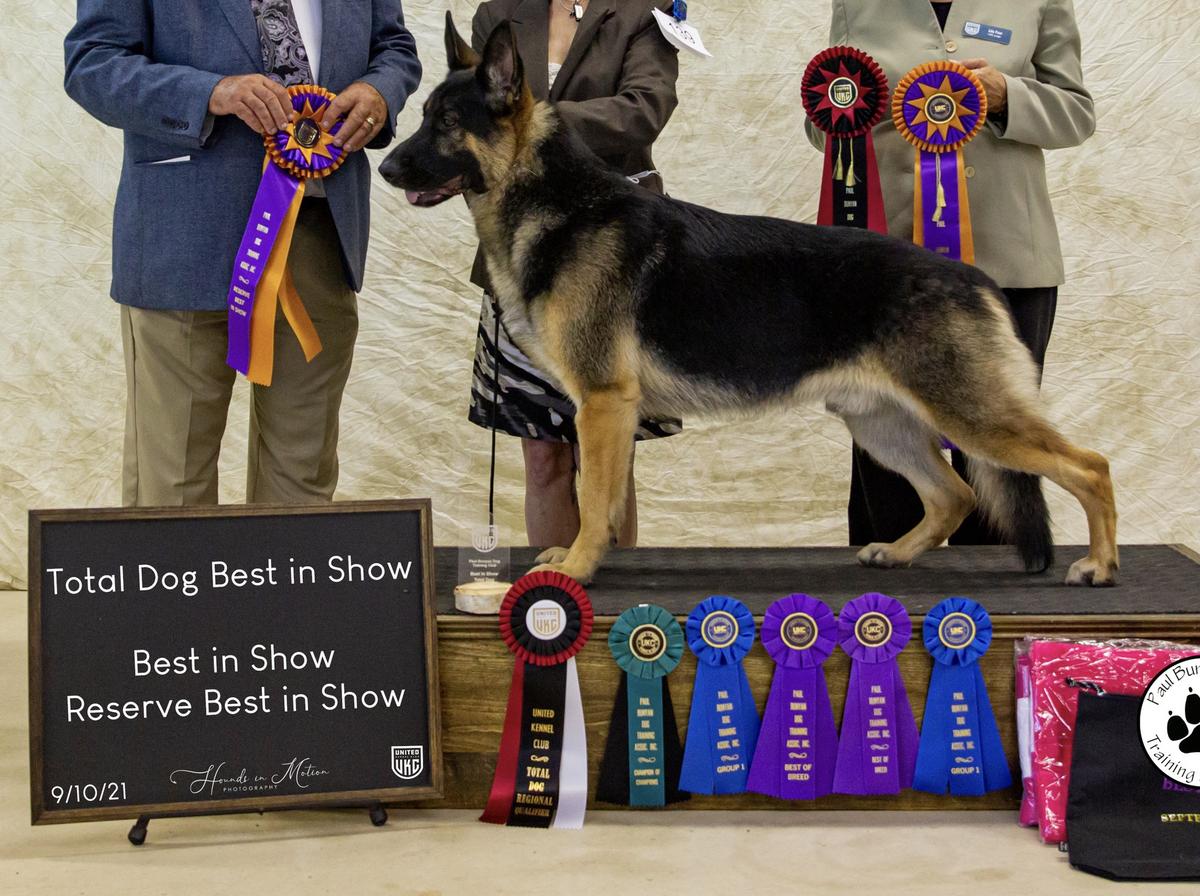 UKC GRCH Jaydee's Wo Shi Wusuoweiju At 3xc