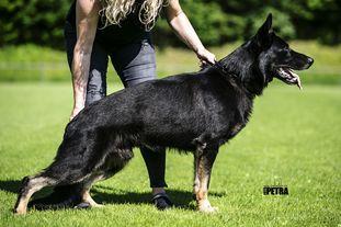 V Hannes vom Speedteam Bodensee
