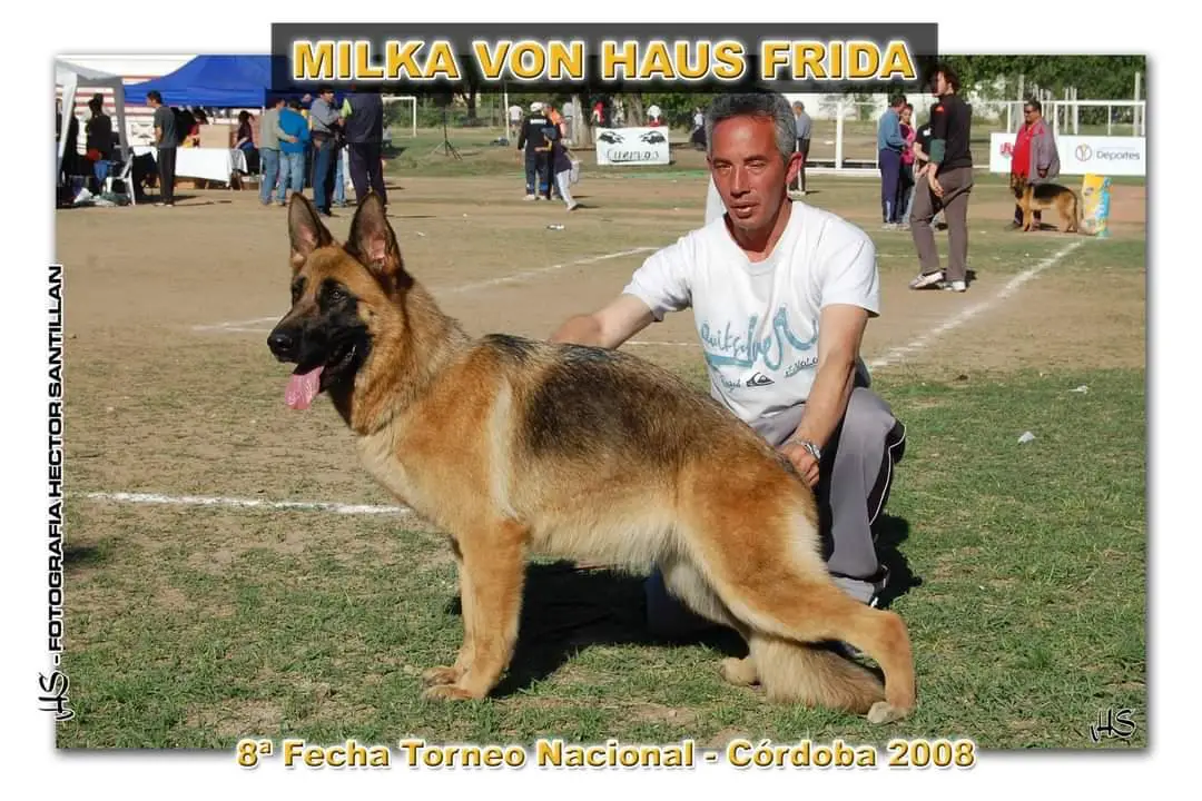 SG13 ARG 2008 Milka Von Haus Frida