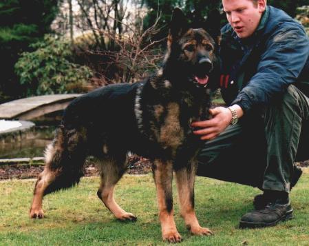 G Quax vom Waldwinkel