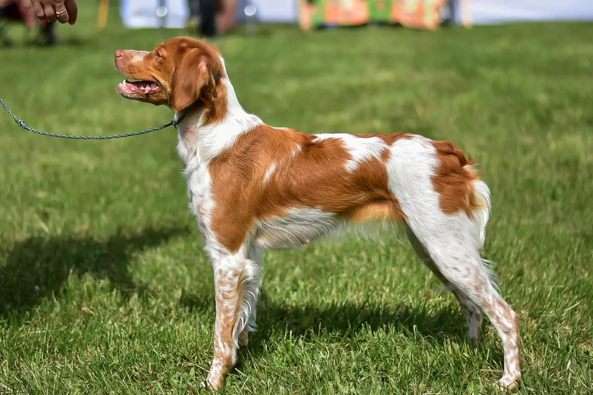 JCHRKF EAJW JCHRUS JGCHBY Beauty