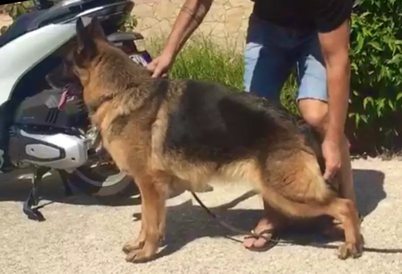 Zalona von der Ostfriesischen Thingstätte