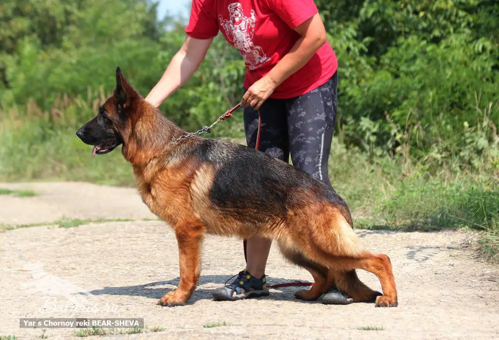 Yar s Chernoy reki BEAR-SHEVA