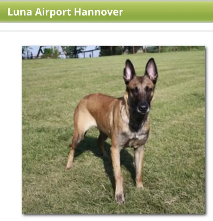Luna Airport Hannover
